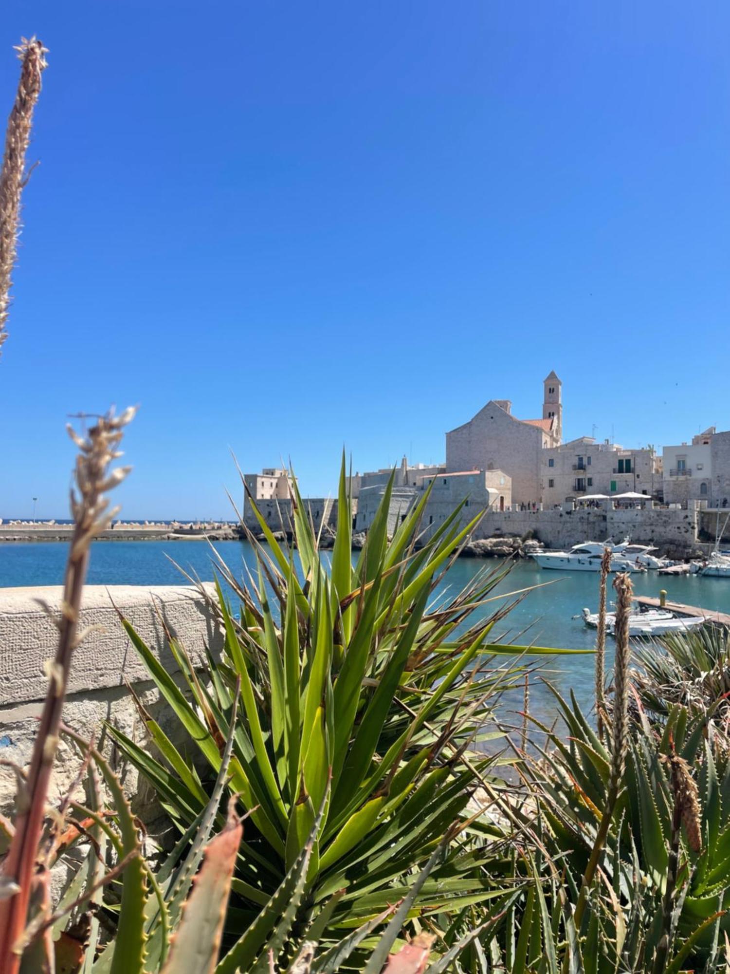 Arcomare Suite Giovinazzo Exteriér fotografie